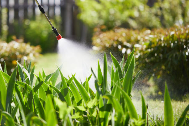 Tamper-Resistant Bait Stations for Rodents in Townsend