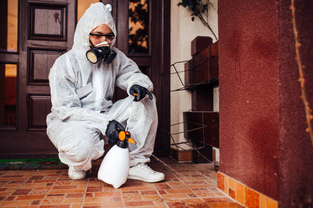 Attic and Crawl Space Rodent Treatment in Townsend